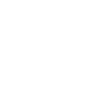 PSV Logo - White